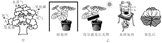 图片_x0020_100022