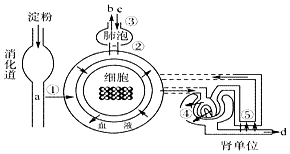 图片_x0020_100015