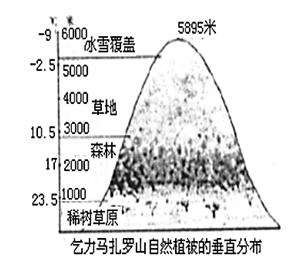 图片_x0020_100001