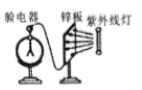 图片_x0020_1220879684