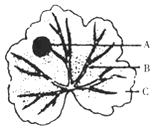 图片_x0020_21