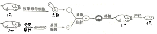 图片_x0020_994884139