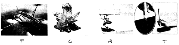 图片_x0020_100008
