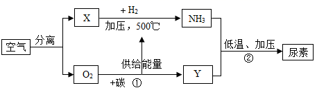 图片_x0020_100001