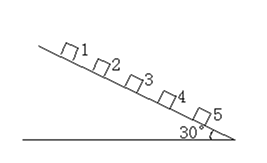 图片_x0020_100020
