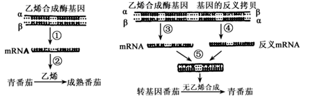 图片_x0020_100006