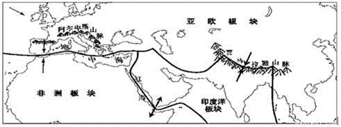 图片_x0020_100018