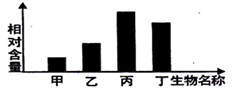 图片_x0020_100016