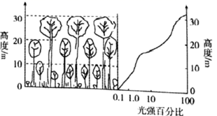 图片_x0020_1862405186