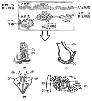 图片_x0020_1139303976