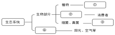 图片_x0020_100015
