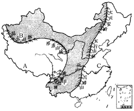 图片_x0020_100029