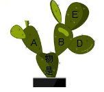 图片_x0020_1231133050