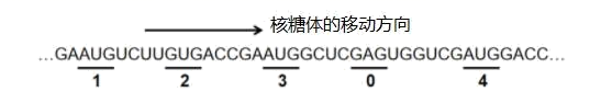 图片_x0020_100017