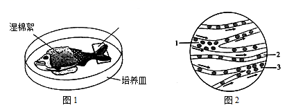 图片_x0020_173701555