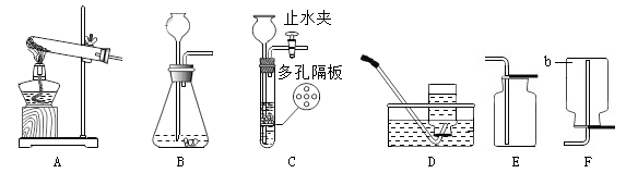 图片_x0020_100016