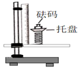 图片_x0020_100011
