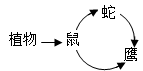 图片_x0020_100011