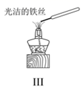 图片_x0020_100004