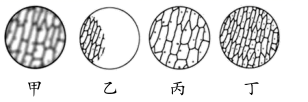 图片_x0020_649107422