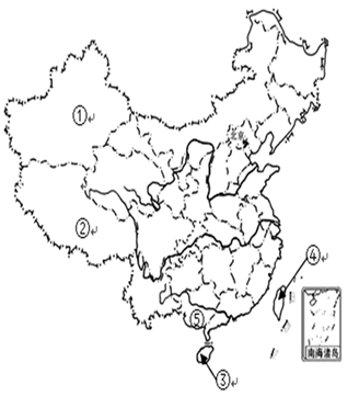 图片_x0020_100019
