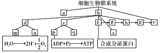 图片_x0020_1543893509