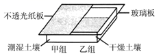 图片_x0020_100010