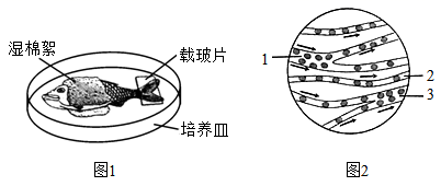 图片_x0020_1488346151