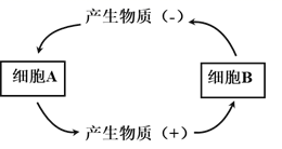 图片_x0020_100002