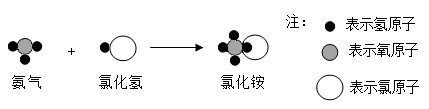 图片_x0020_100012