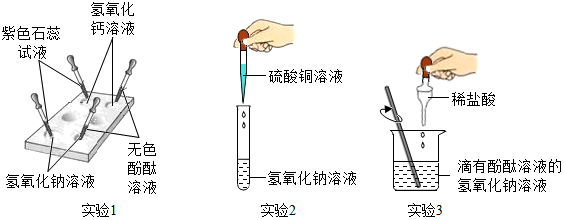 图片_x0020_100015