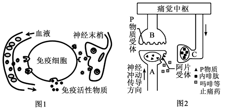 图片_x0020_858856415
