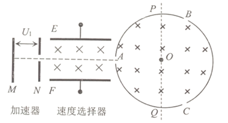 图片_x0020_100053