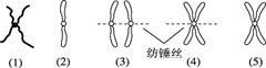 图片_x0020_100004