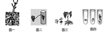 图片_x0020_100009