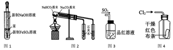 图片_x0020_100003