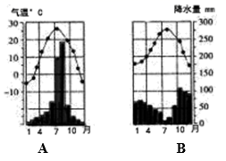 图片_x0020_100011
