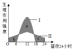 图片_x0020_1445261337