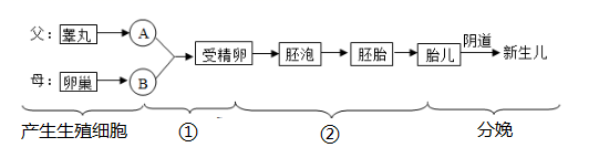 图片_x0020_1400988426