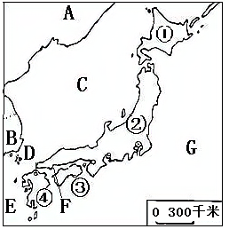 图片_x0020_230288933
