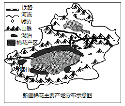 图片_x0020_100015