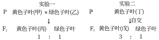 图片_x0020_1888441302