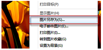 图片_x0020_100025