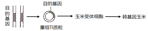 图片_x0020_100006
