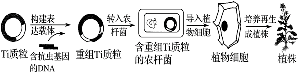 图片_x0020_100011