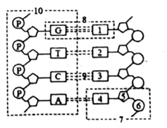图片_x0020_100007