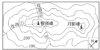 图片_x0020_709308962