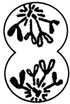 图片_x0020_100007