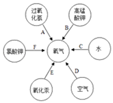 图片_x0020_100030