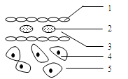 图片_x0020_100001